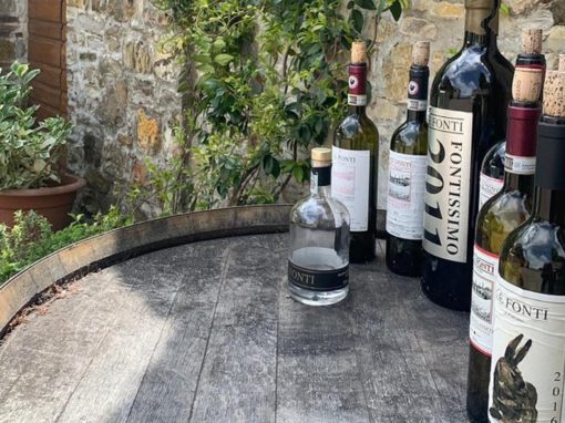 chianti-drivers-siena-tour-7